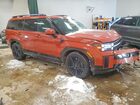 2025 Hyundai Santa Fe Calligraphy Оранжевый vin: 5NMP5DG18SH049228