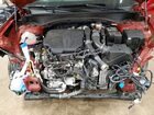 2024 Hyundai Santa Fe Calligraphy Red vin: 5NMP5DGL3RH030260