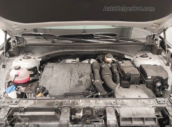 5NMP5DGL5SH091177 2025 HYUNDAI SANTA FE CALLIGRAPHY Silver Widok z tyłu