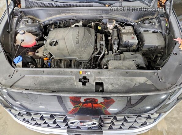5NMS1DAJ6NH427906 2022 HYUNDAI SANTA Черный Вид задней части салона