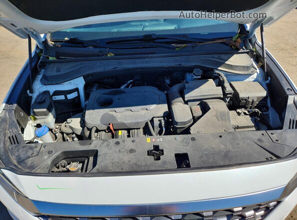 5NMS2CADXKH116508 2019 HYUNDAI SANTA Белый Вид задней части салона