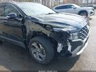 2023 Hyundai Santa Fe Sel Black vin: 5NMS2DAJ4PH520357