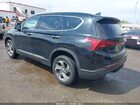 2023 Hyundai Santa Fe Sel Black vin: 5NMS2DAJ4PH520357