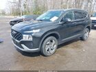 2023 Hyundai Santa Fe Sel Black vin: 5NMS2DAJ4PH520357