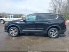 2023 Hyundai Santa Fe Sel Black vin: 5NMS2DAJ4PH520357