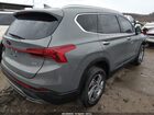 2023 Hyundai Santa Fe Sel Gray vin: 5NMS2DAJ8PH538005