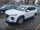2020 Hyundai Santa Fe Sel White vin: 5NMS3CAD2LH214334