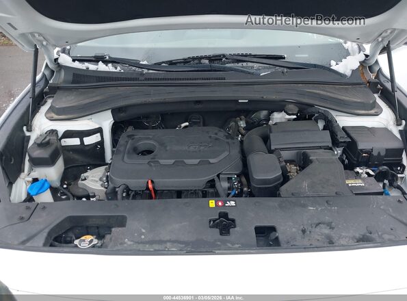 5NMS3CAD2LH214334 2020 HYUNDAI SANTA FE White Widok z tyłu
