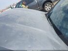 2019 Hyundai Santa Fe Sel Plus Gray vin: 5NMS3CAD6KH002339