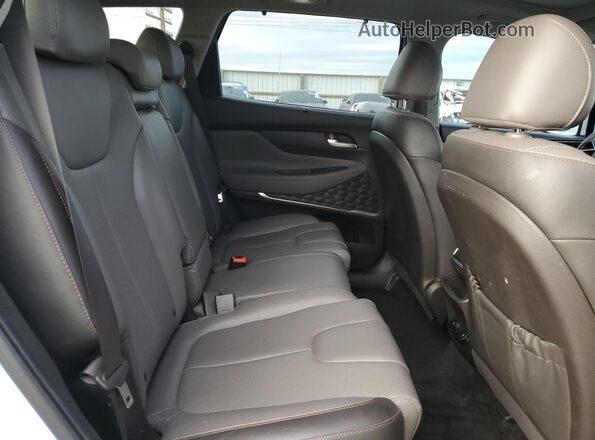 5NMS3CAD6LH188904 2020 HYUNDAI SANTA Белый Вид задней части салона