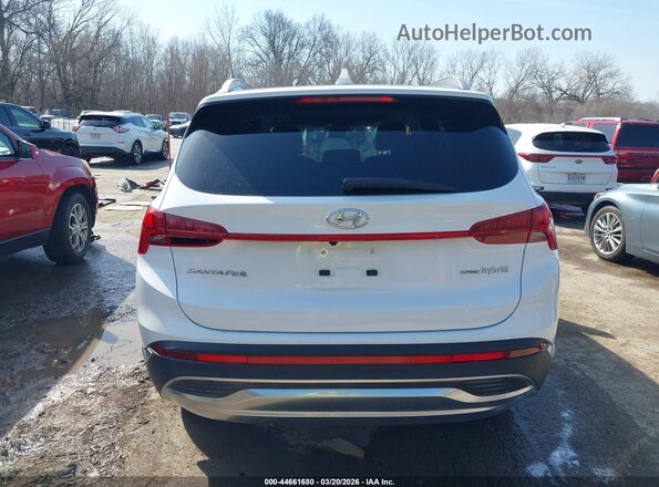 5NMS3DA11PH018452 2023 HYUNDAI SANTA FE HYBRID White 