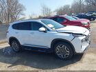 2023 Hyundai Santa Fe Hybrid Sel Premium White vin: 5NMS3DA11PH018452