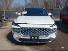2023 Hyundai Santa Fe Hybrid Sel Premium White vin: 5NMS3DA11PH018452