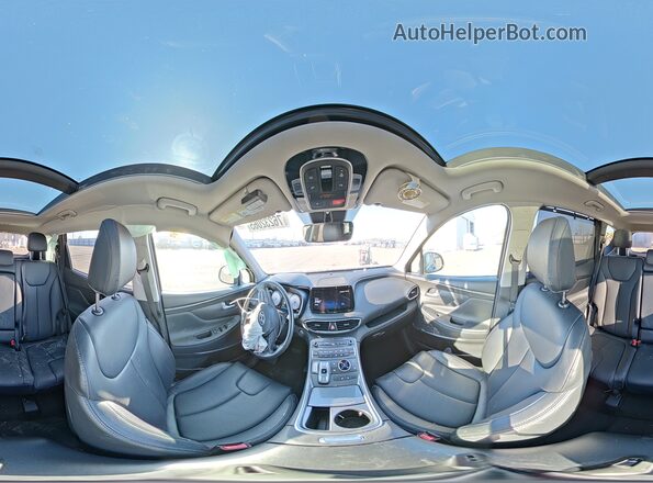 5NMS3DAJ0PH559850 2023 HYUNDAI SANTA Угольный Панорамный вид салона 360°