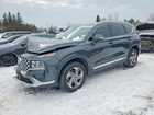 2021 Hyundai Santa Fe Sel Charcoal vin: 5NMS3DAJ3MH313600