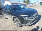 2023 Hyundai Santa Fe Limited Black vin: 5NMS4DAL4PH646651