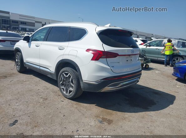 5NMS4DAL9PH609157 2023 HYUNDAI SANTA FE Белый Задняя левая четверть