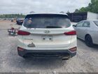 2019 Hyundai Santa Fe Limited Белый vin: 5NMS53AD8KH036759