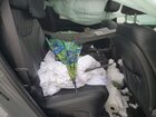 2022 Hyundai Santa Fe Calligraphy Gray vin: 5NMS5DAL4NH455533