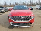 2022 Hyundai Santa Fe Calligraphy Red vin: 5NMS5DAL6NH439723