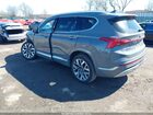 2023 Hyundai Santa Fe Calligraphy Gray vin: 5NMS5DALXPH658283
