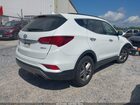 2017 Hyundai Santa Fe Sport 2.4l Белый vin: 5NMZU3LB2HH017937