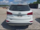 2017 Hyundai Santa Fe Sport 2.4l Белый vin: 5NMZU3LB2HH017937