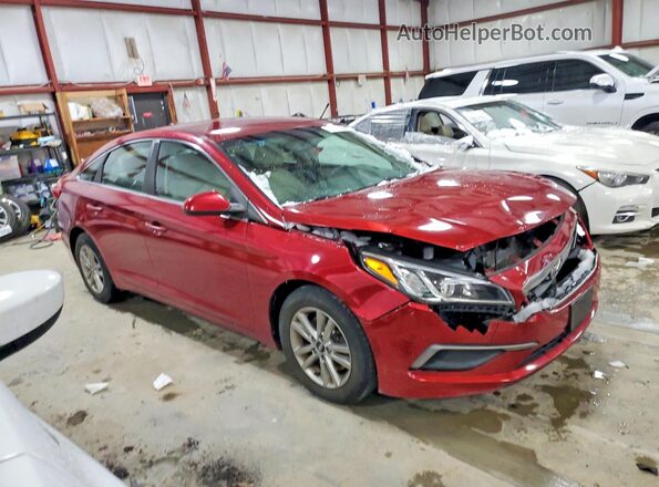 5NPE24AF0GH319874 2016 HYUNDAI SONATA Red Առջևի աջ