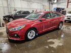 2019 Hyundai Sonata Red vin: 5NPE24AF1KH798962