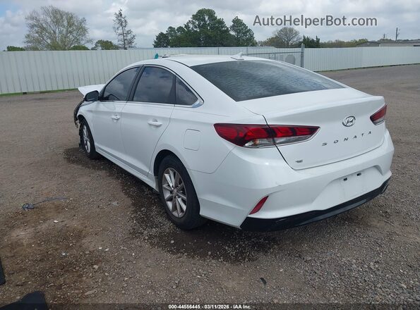 5NPE24AF2KH777778 2019 HYUNDAI SONATA White Задня ліва чверть