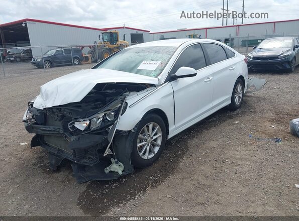 5NPE24AF2KH777778 2019 HYUNDAI SONATA White Передня ліва чверть