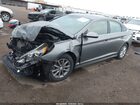 2019 Hyundai Sonata Se Серый vin: 5NPE24AF3KH731246 2019 Hyundai Sonata Se Серый vin: 5NPE24AF3KH731246