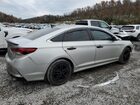 2019 Hyundai Sonata Se Серебряный vin: 5NPE24AF3KH819987