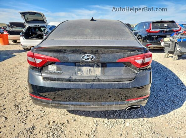 5NPE24AF4GH306965 2016 HYUNDAI SONATA Черный Вид сзади