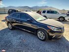 2016 Hyundai Sonata Se Черный vin: 5NPE24AF4GH306965