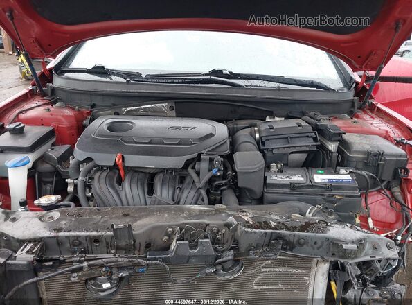 5NPE24AF4KH765714 2019 HYUNDAI SONATA Red Вид ззаду