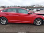 2019 Hyundai Sonata Se Red vin: 5NPE24AF4KH765714 2019 Hyundai Sonata Se Red vin: 5NPE24AF4KH765714