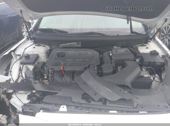 5NPE24AF4KH776227 2019 HYUNDAI SONATA White Հետևի տեսք