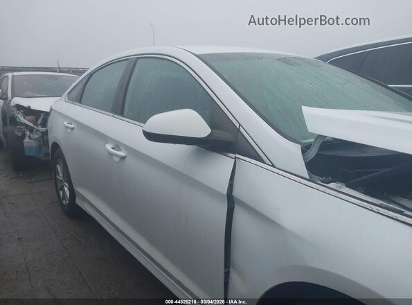 5NPE24AF4KH776227 2019 HYUNDAI SONATA White Սալոնի հետևի տեսք