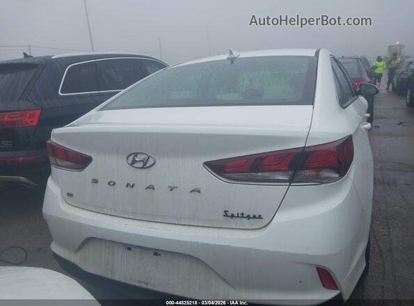 5NPE24AF4KH776227 2019 HYUNDAI SONATA White 
