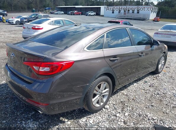 5NPE24AF5GH348951 2016 HYUNDAI SONATA Коричневый Задняя правая четверть