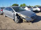 2016 Hyundai Sonata   Gray vin: 5NPE24AF5GH394330