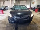 2016 Hyundai Sonata Se Черный vin: 5NPE24AF6GH312606