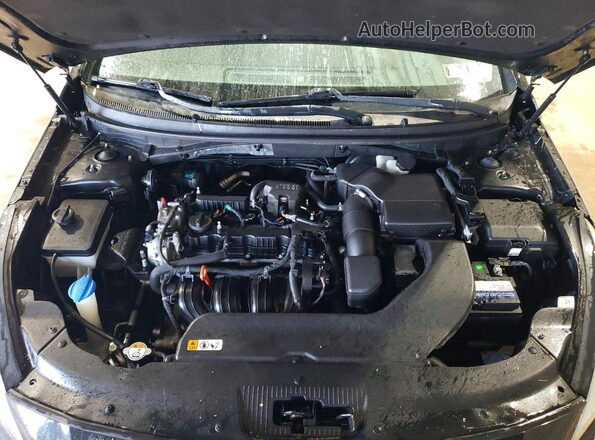 5NPE24AF6GH312606 2016 HYUNDAI SONATA Черный Вид задней части салона