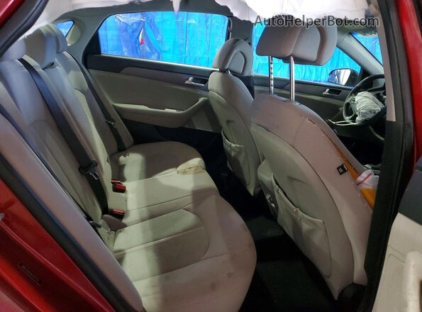 5NPE24AF6GH387175 2016 HYUNDAI SONATA Бордовый Вид задних сидений