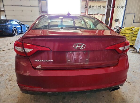 5NPE24AF7HH447563 2017 HYUNDAI SONATA Красный Вид сзади