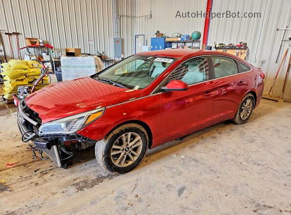 5NPE24AF7HH447563 2017 HYUNDAI SONATA Красный Передняя левая четверть