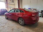 2017 Hyundai Sonata Base Красный vin: 5NPE24AF7HH447563