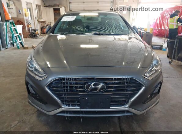 5NPE24AF7KH798352 2019 HYUNDAI SONATA Gray უკანა სალონის ხედი