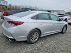 2019 Hyundai Sonata Se Silver vin: 5NPE24AF7KH800830 2019 Hyundai Sonata Se Silver vin: 5NPE24AF7KH800830